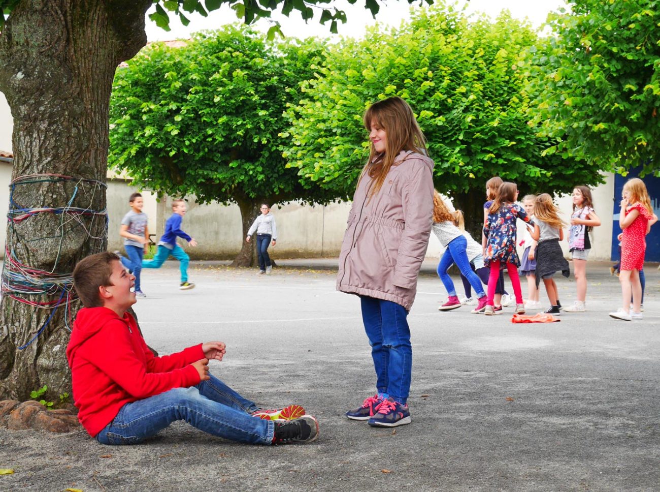 cours-ecole-arbre