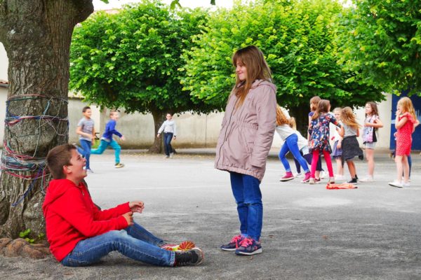 cours-ecole-arbre